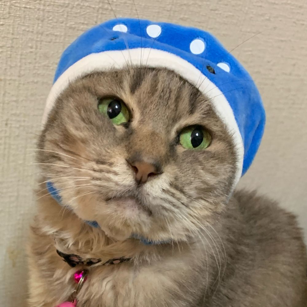 kiü子