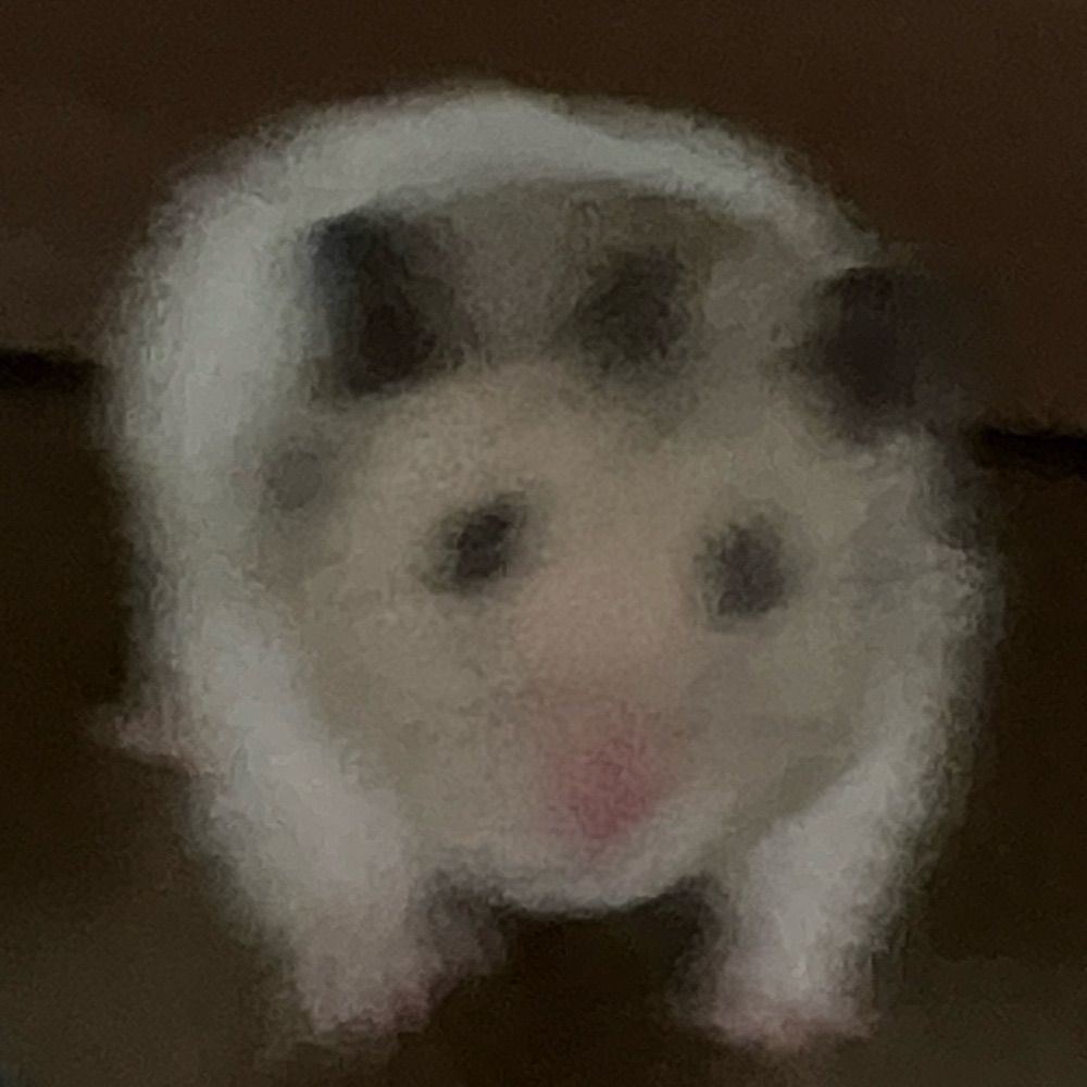 どむ