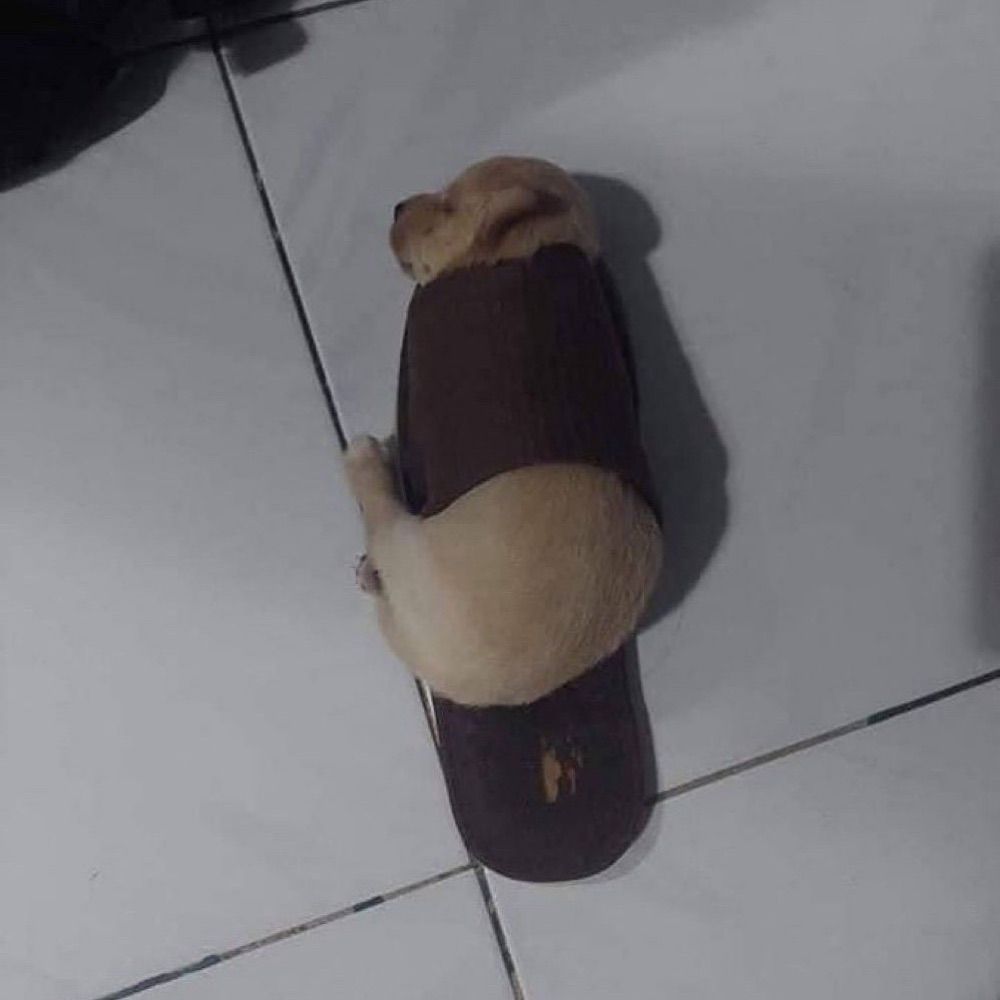 스트레칭하기