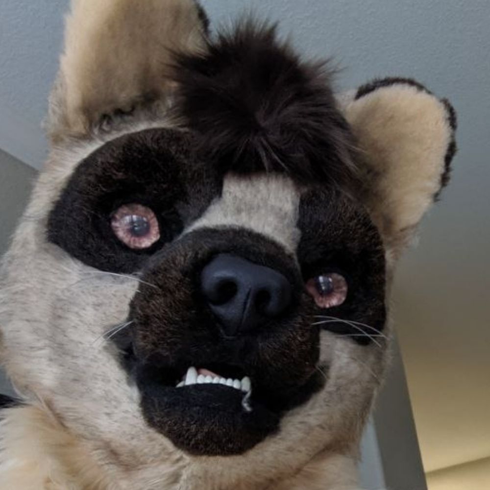 Max The Pine Marten