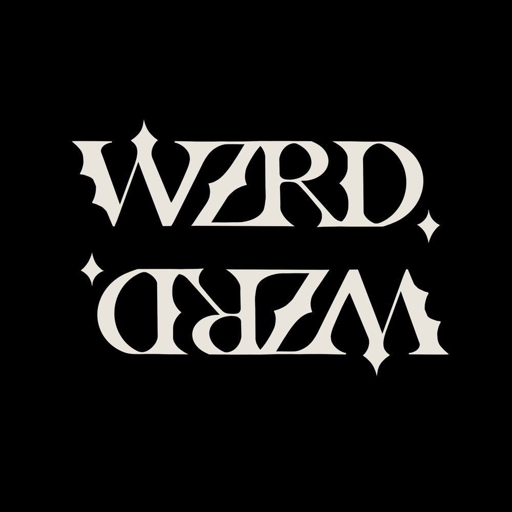 wzrd. bikes 🏳️‍⚧️
