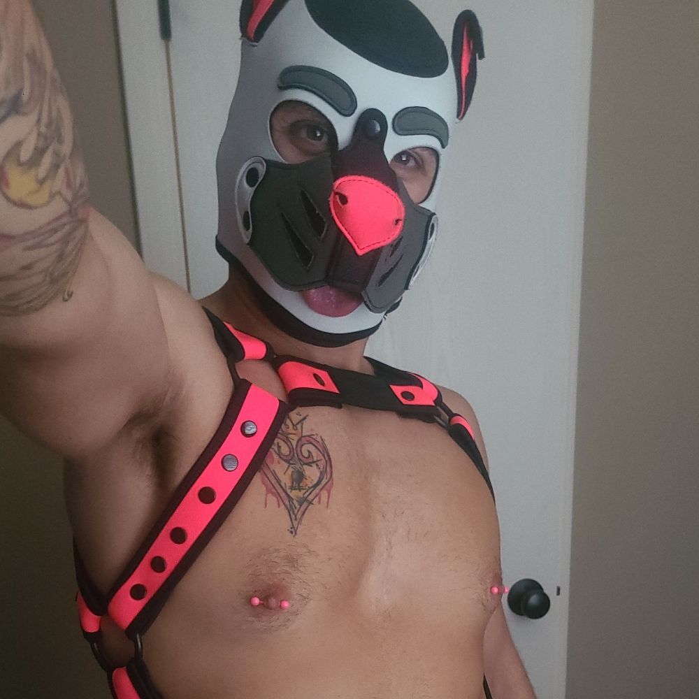 Profile picture pupspazz.bsky.social