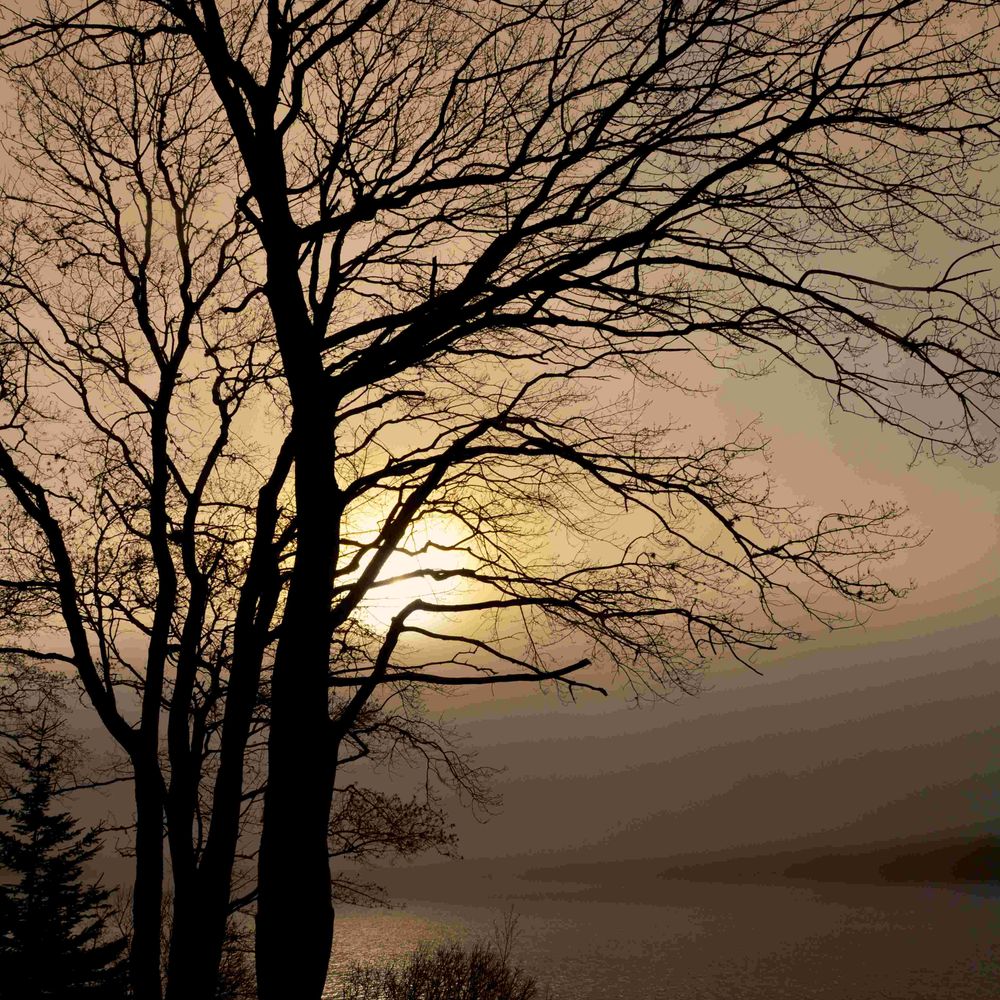 Brian Doucette
