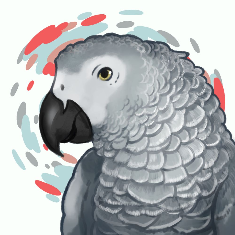 kotarou1192