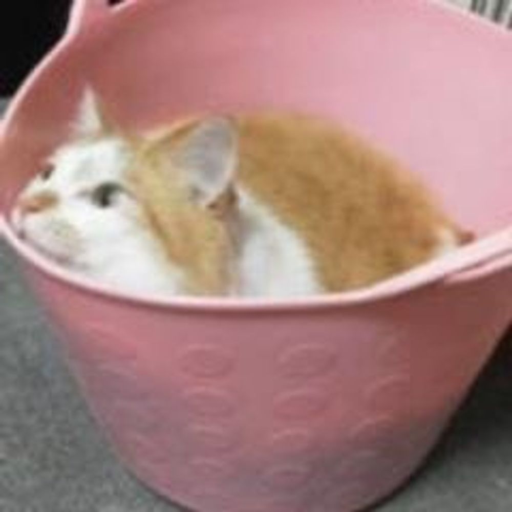 三上