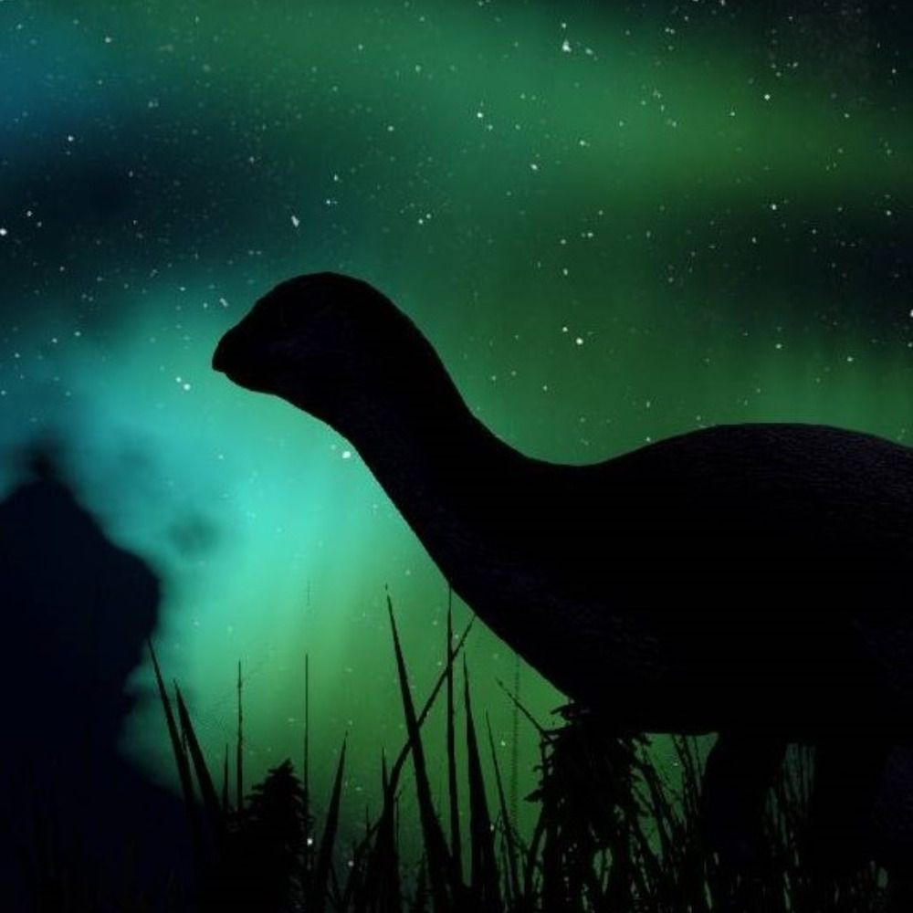 TheAuroraOro