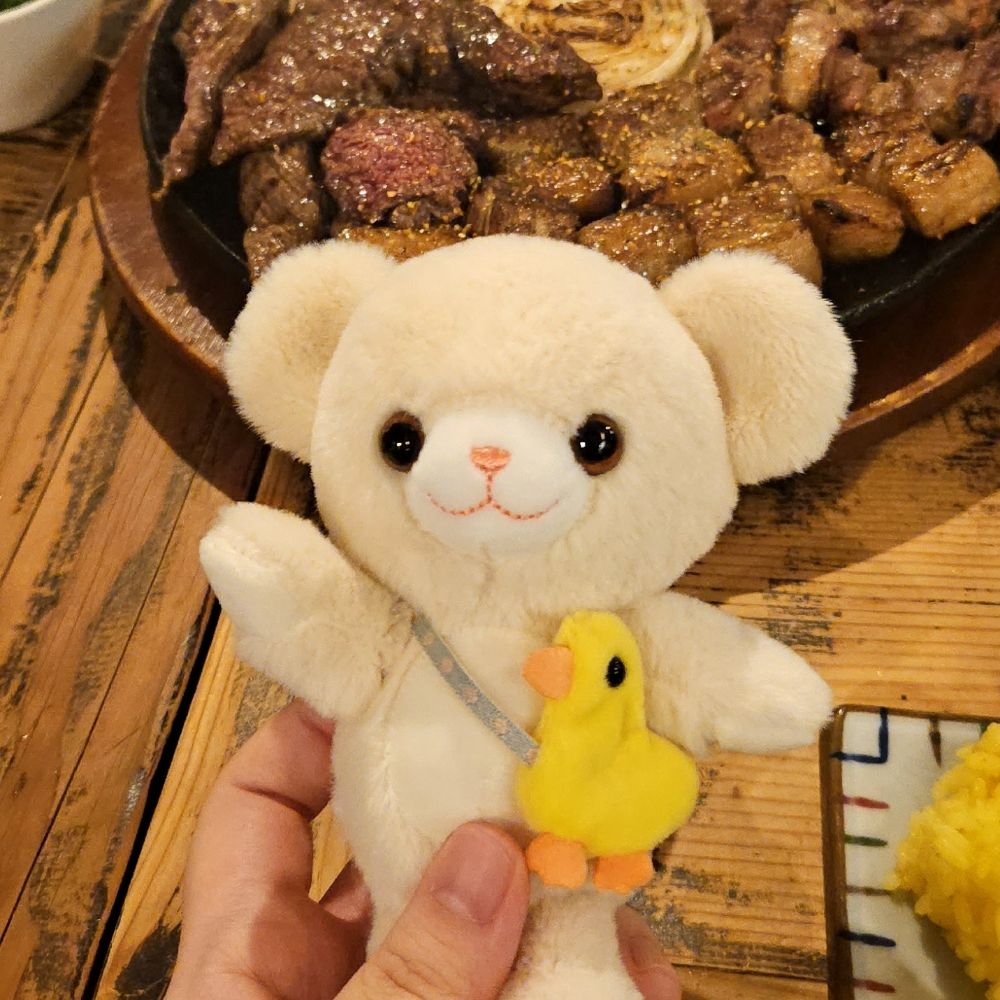 파요