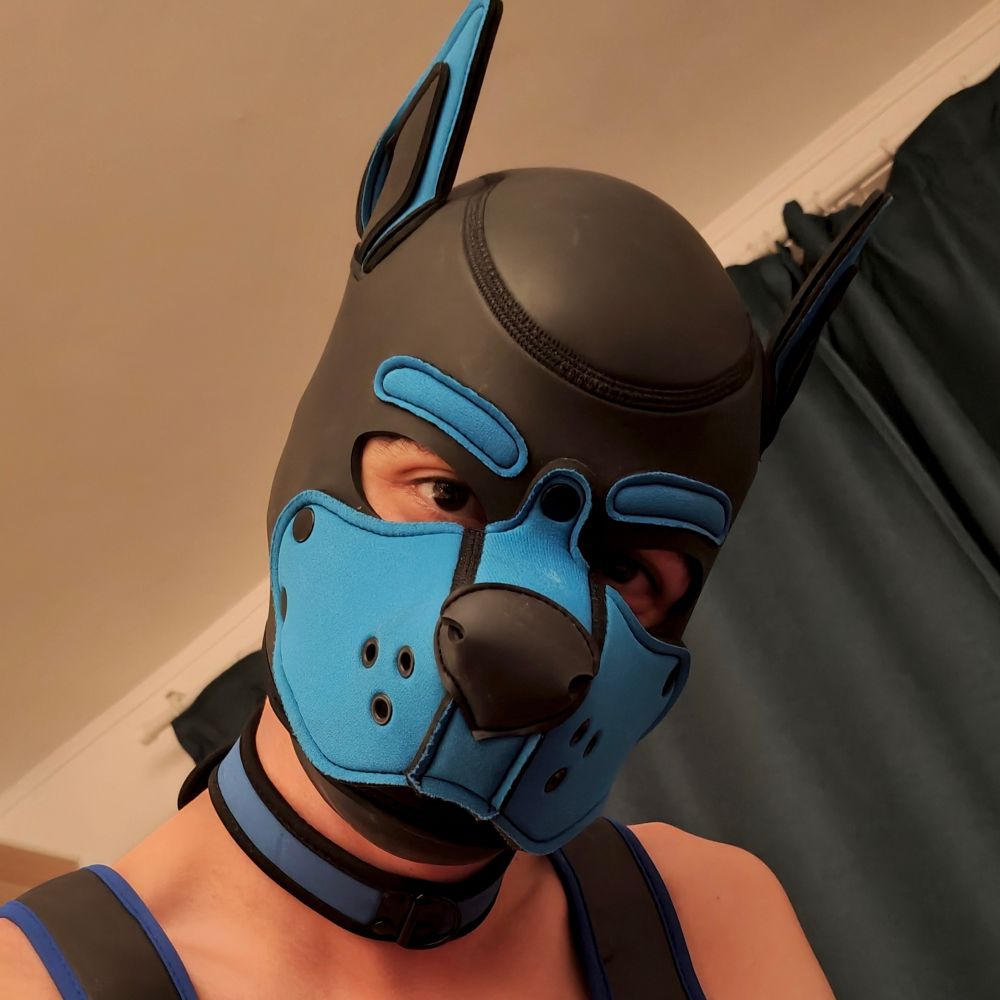Pup Fray 🔜 Folsom Berlin 2025