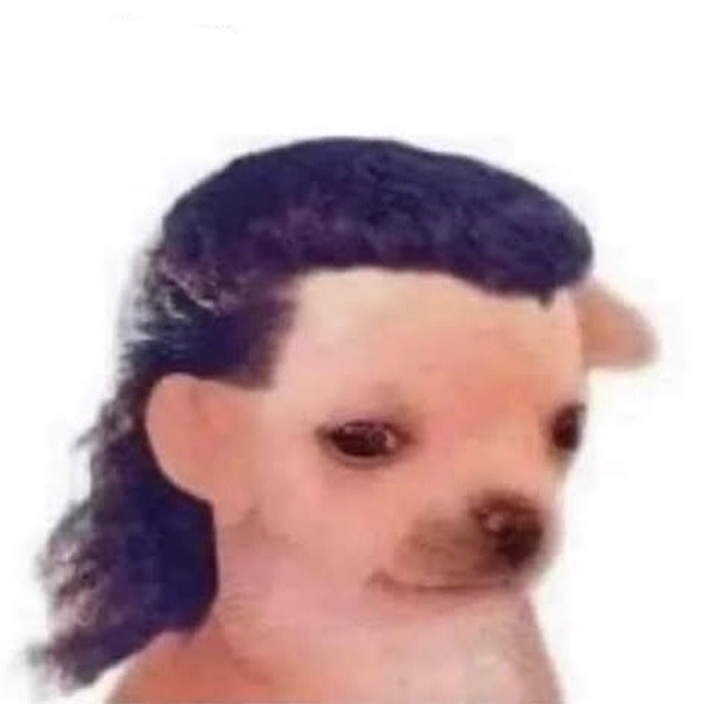 tomloki