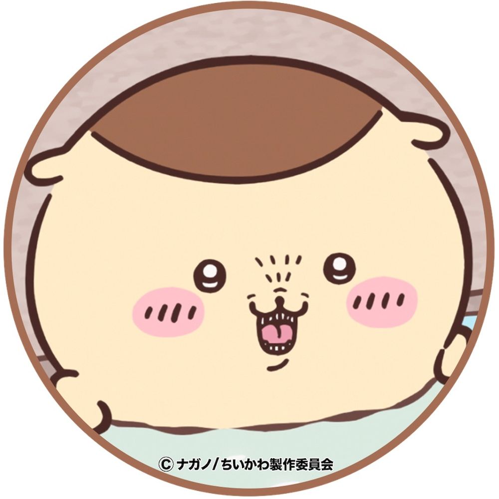 勉強いぬ