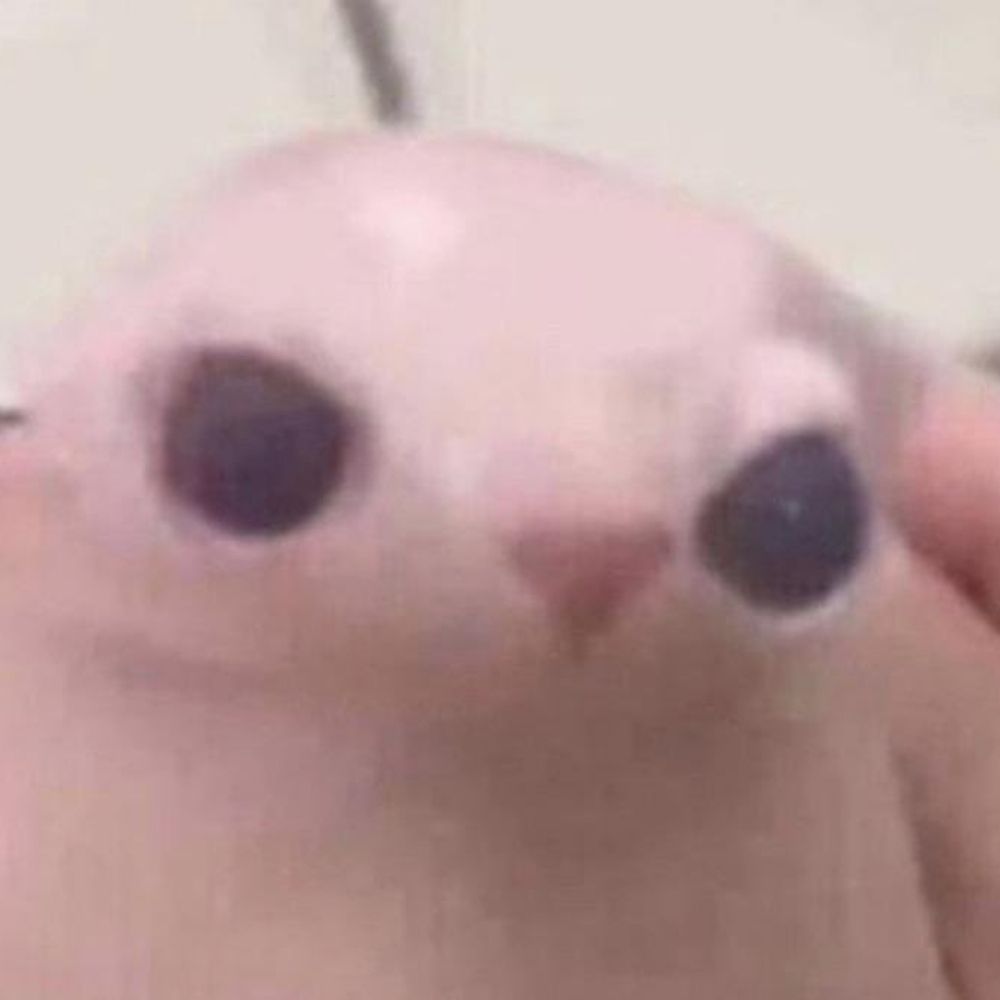 vipa