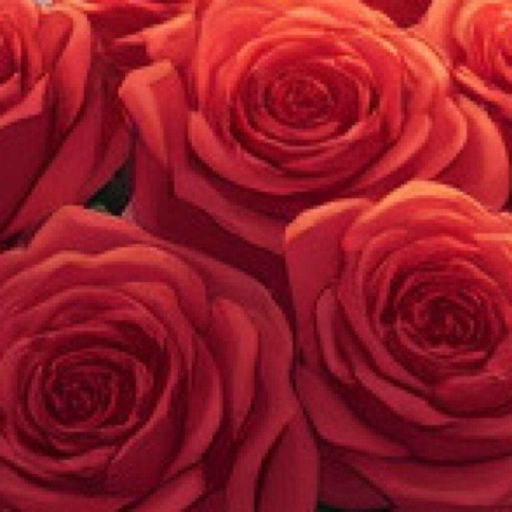 🌹✨kin✨🌹