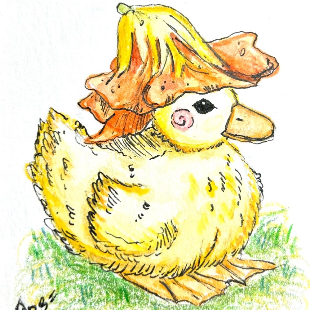 Aquabun