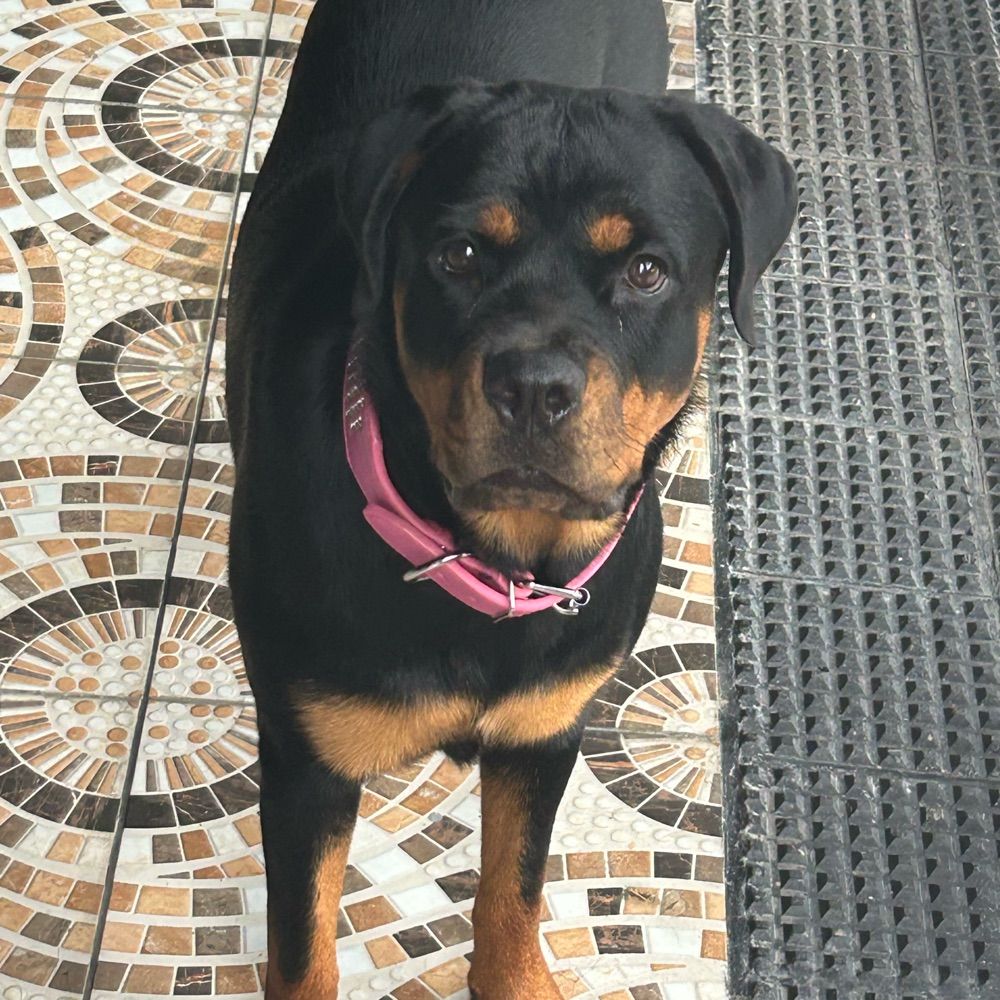 wpritts57.bsky.social