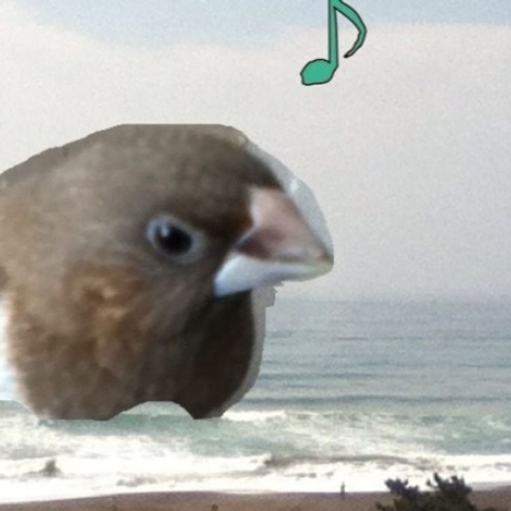 たっちーちょし