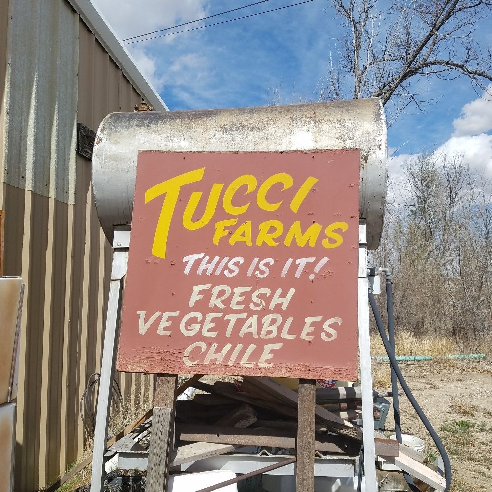 Dominic Tucci