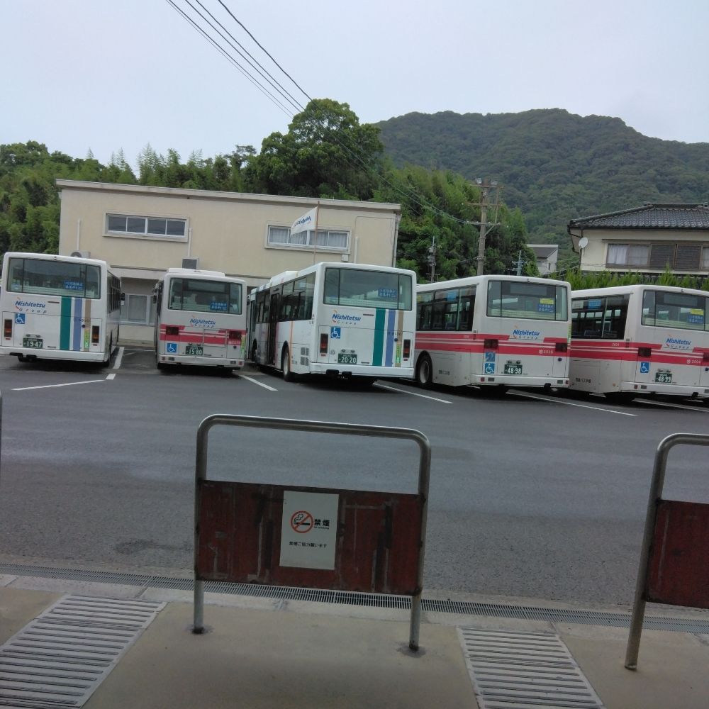 なお2981