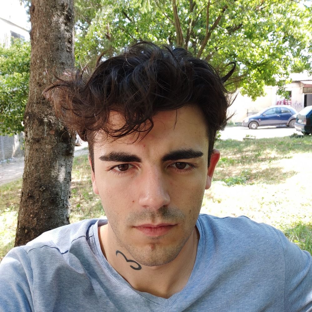 Nikola Hristov