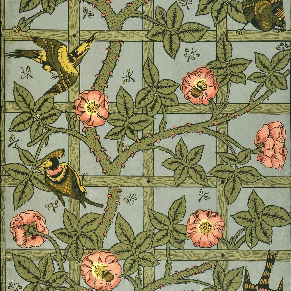 🏵️