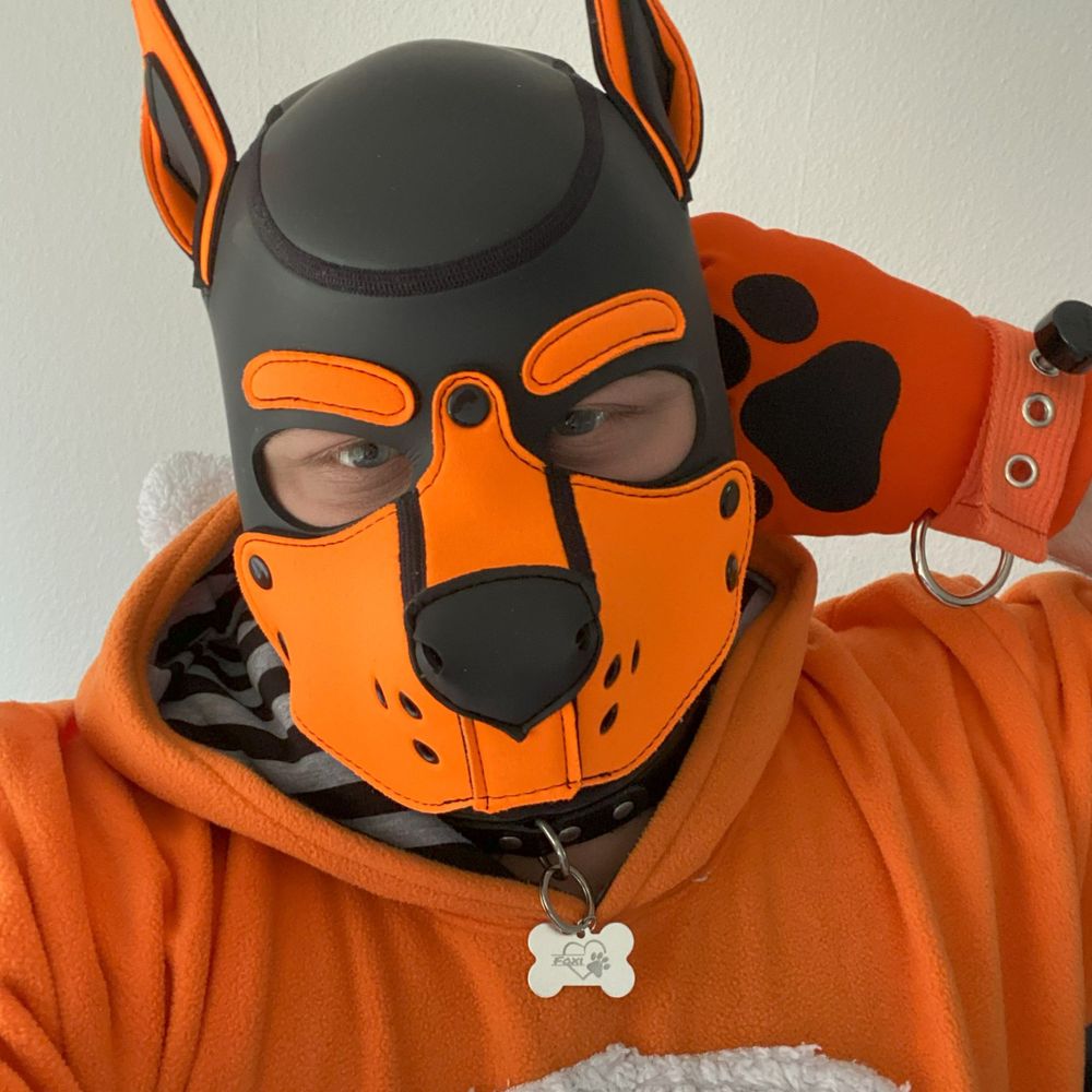 WuffelFoxi