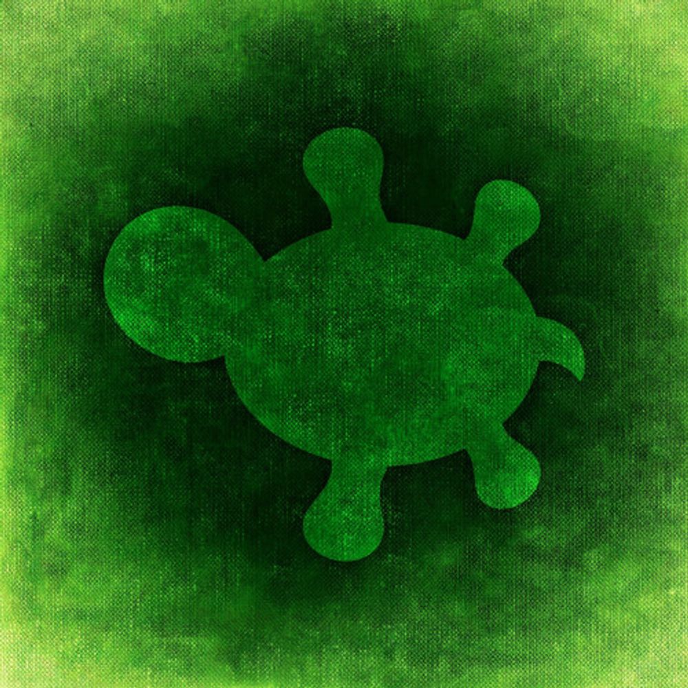 OddLittleTurtle