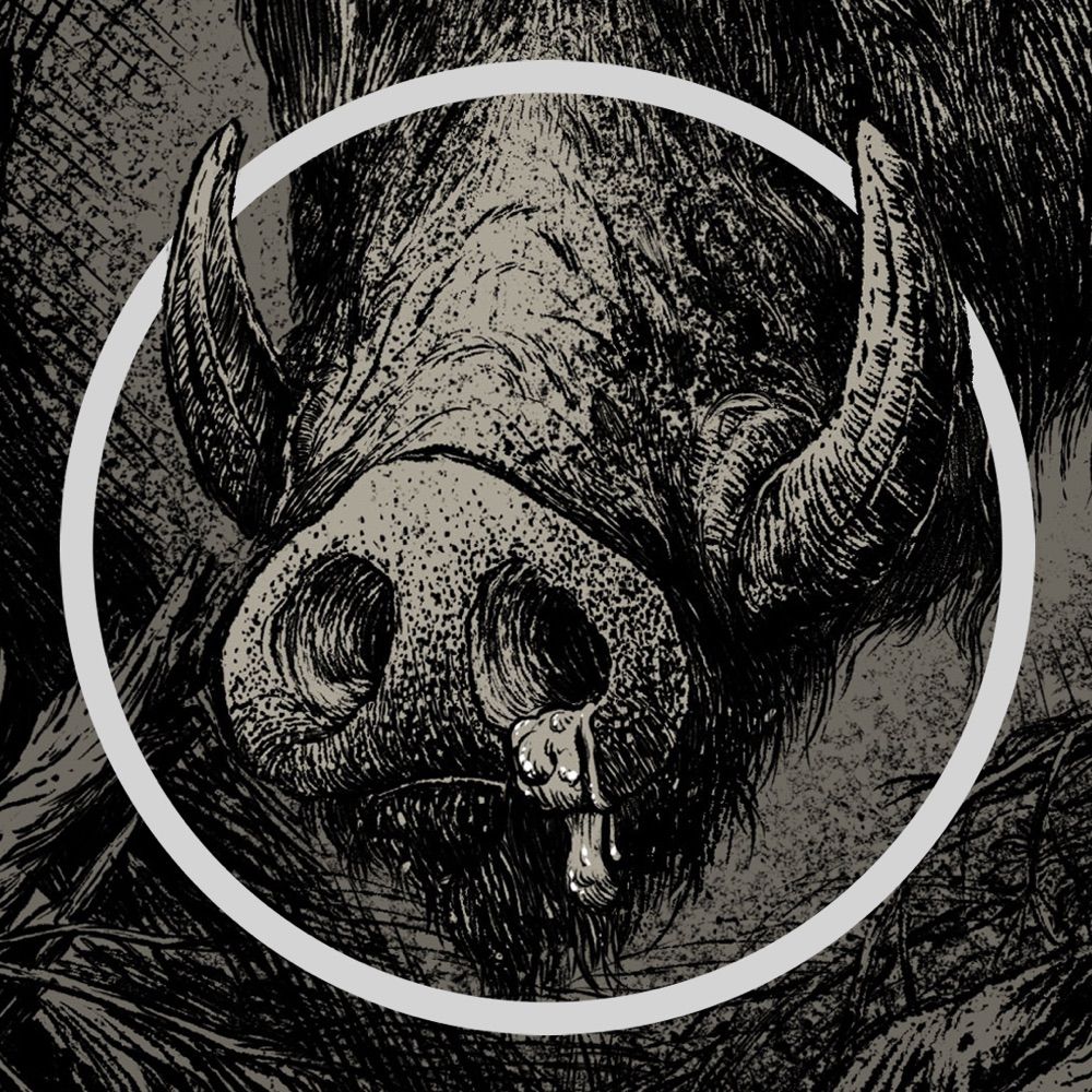 Rino