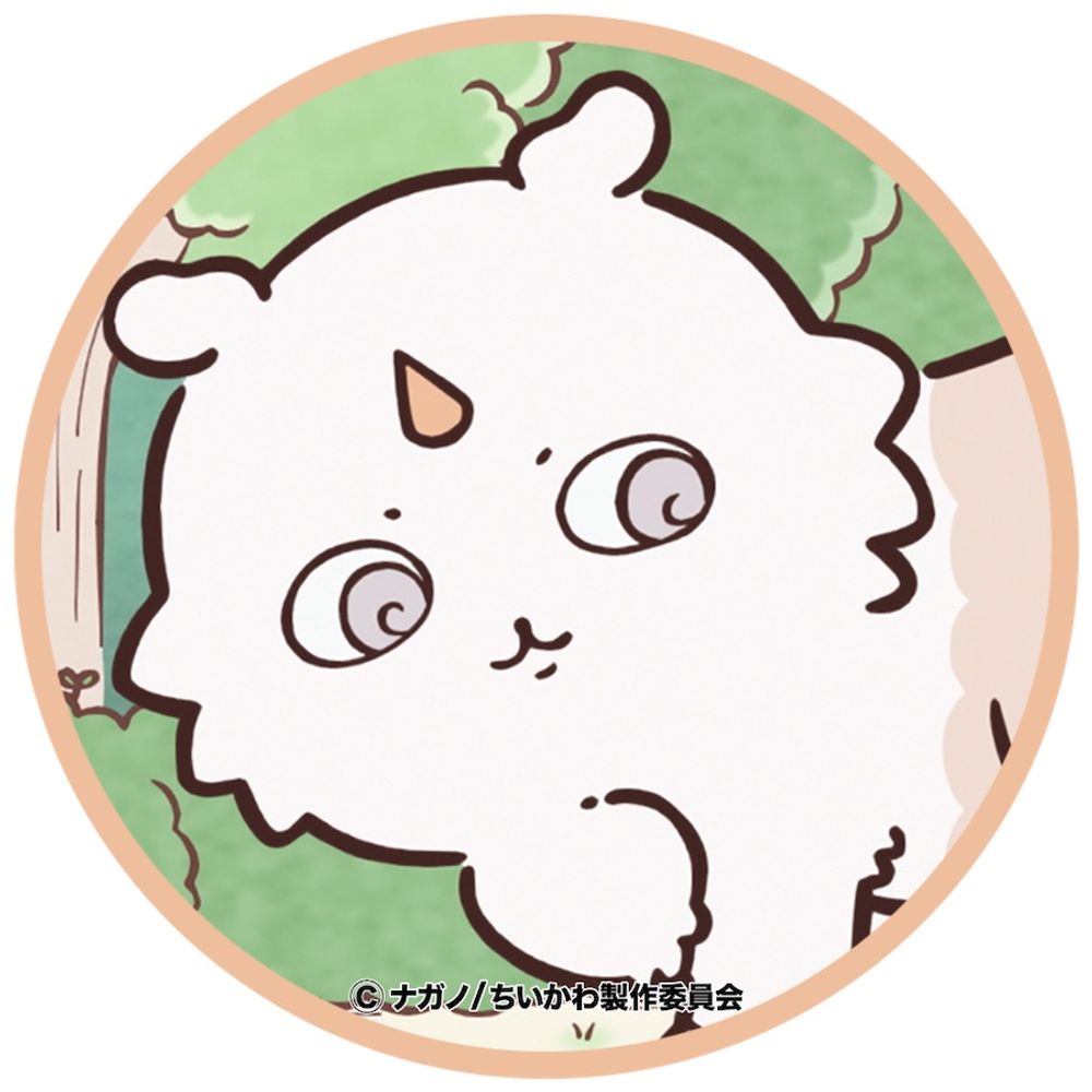 サクラ