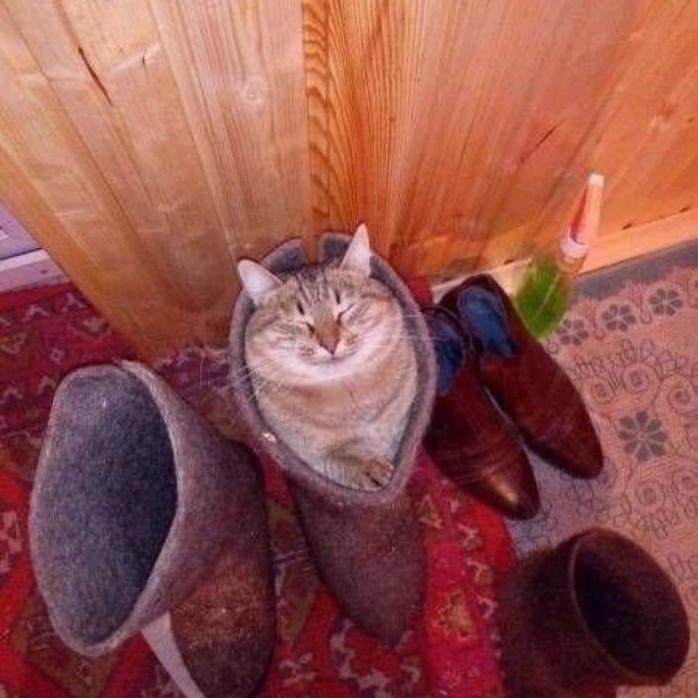 Юра