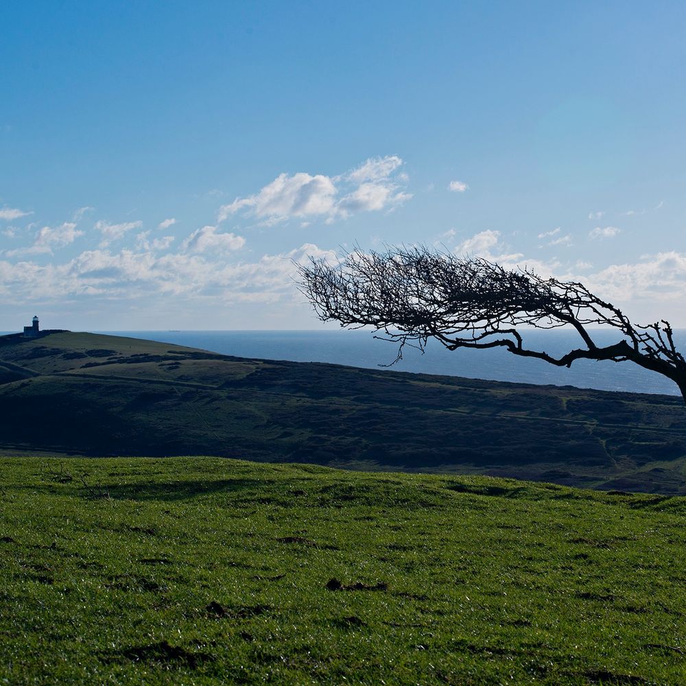 Love The South Downs
