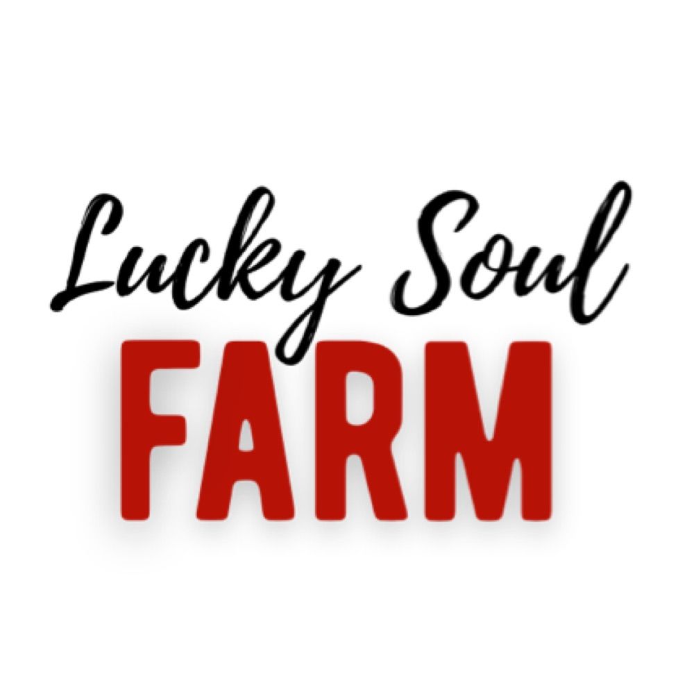 Lucky Soul Farm