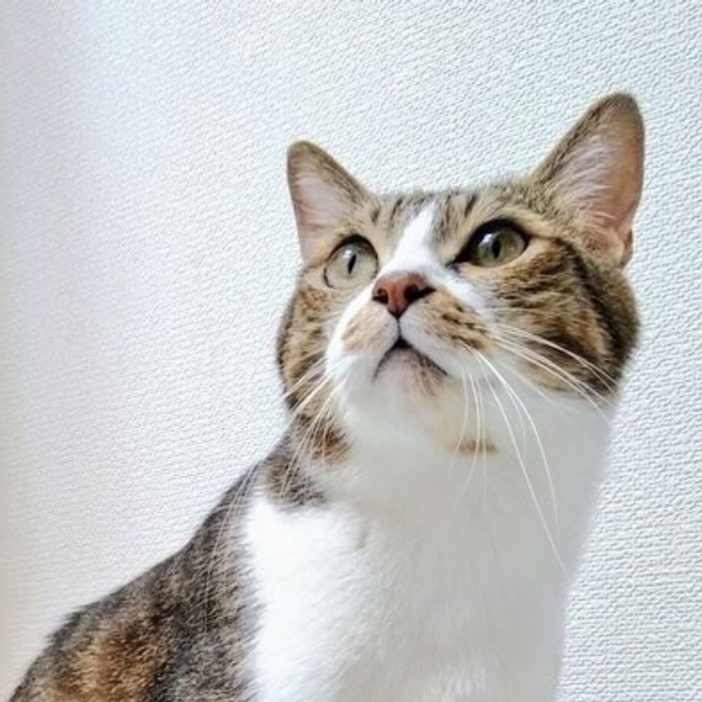 やまし