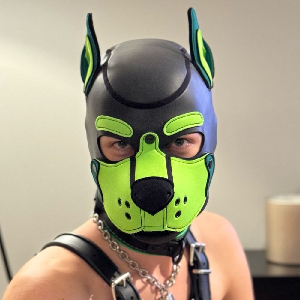 Pup Ace 🔜 Darklands