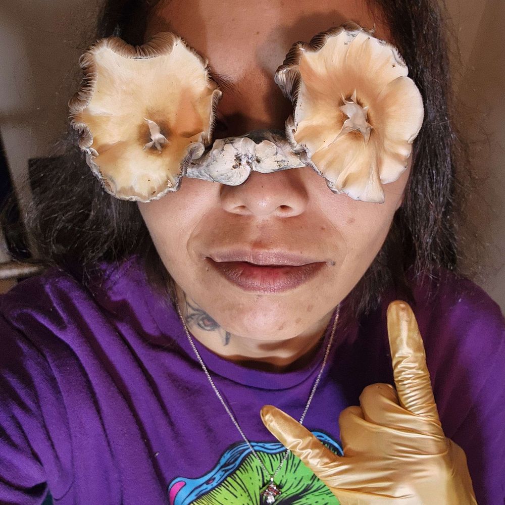 Alexandria Mycelial Fungal