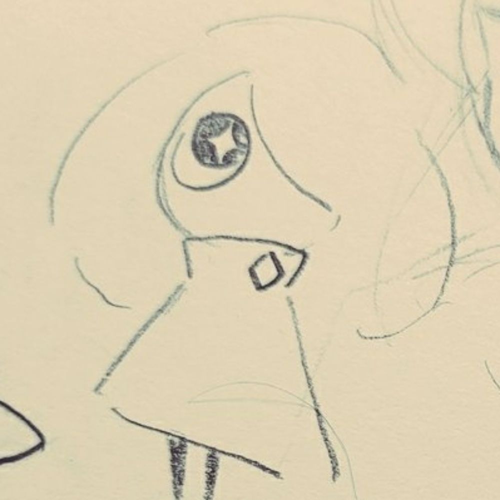 ✨MURI