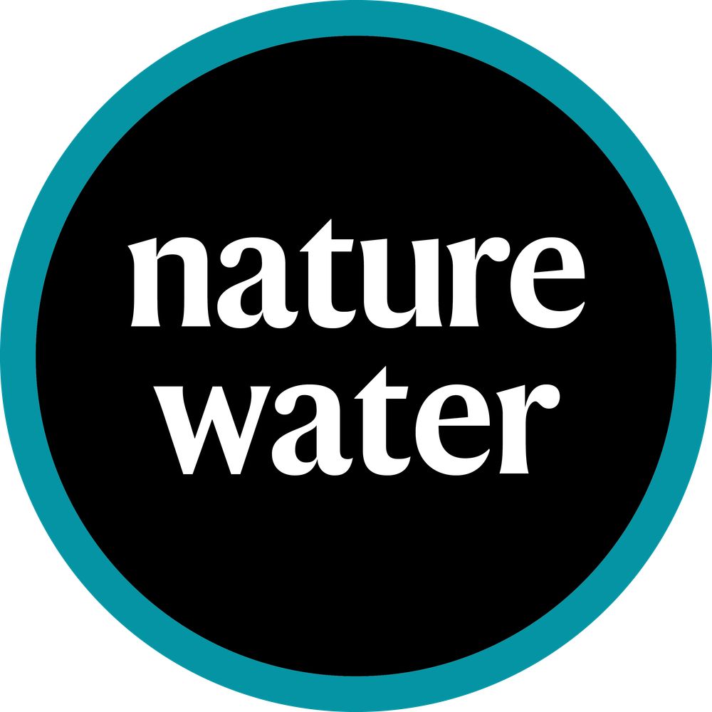 Nature Water 