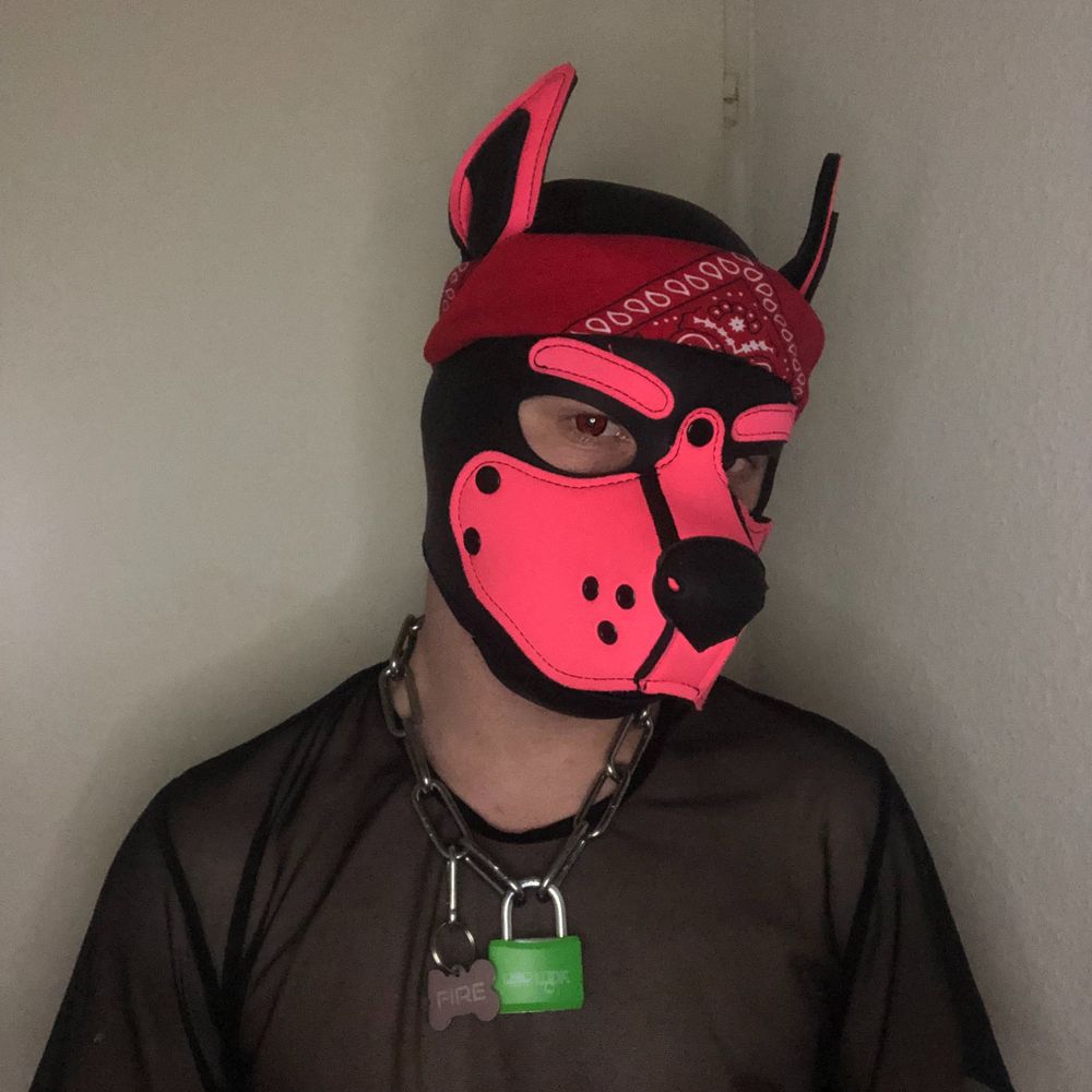 Pup Fire