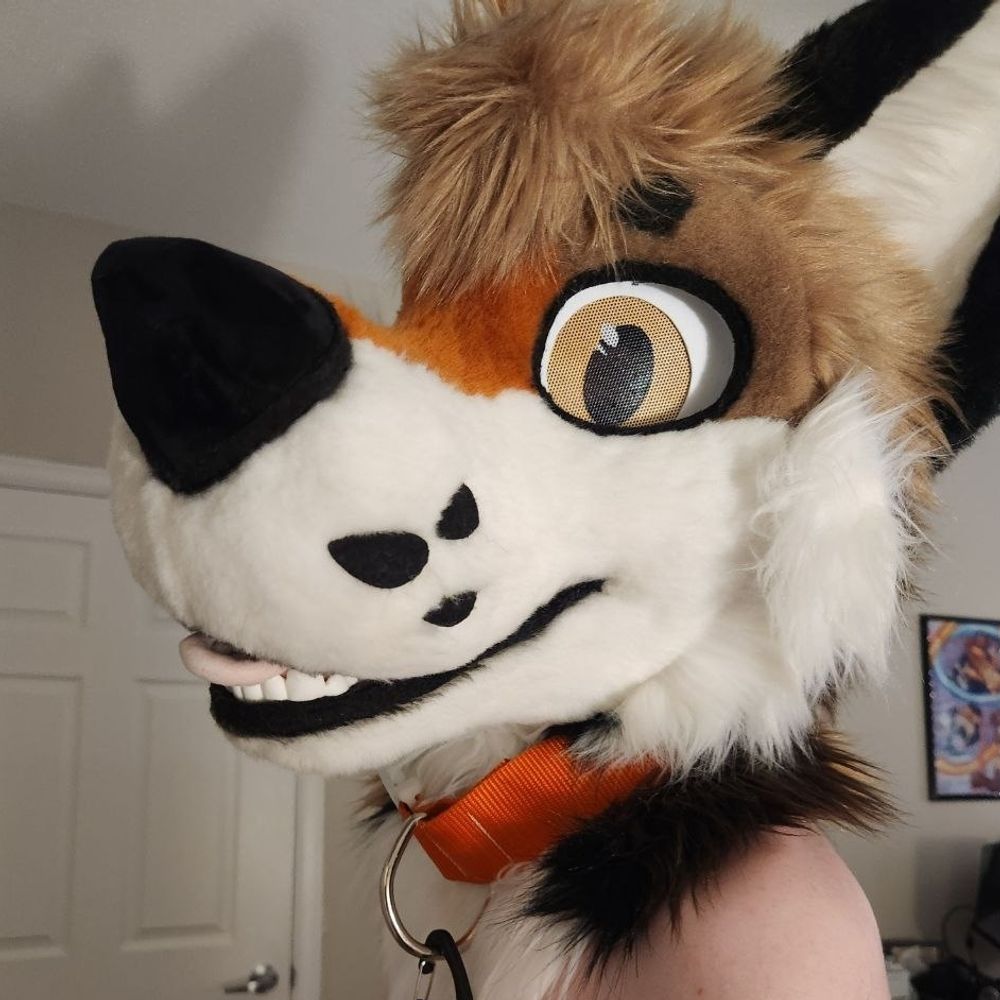 DickTheYote🔜Denfur