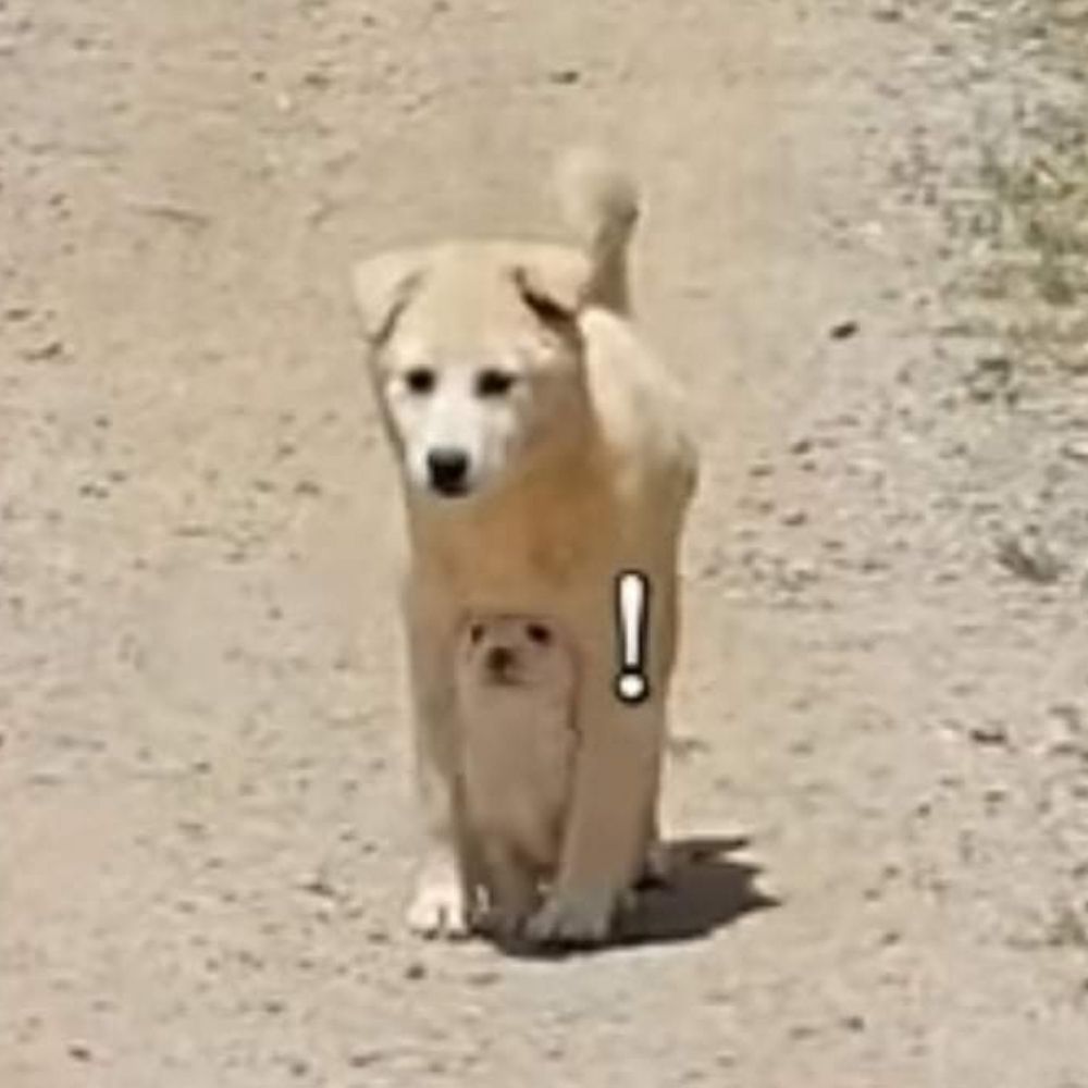 🥺일야🥺