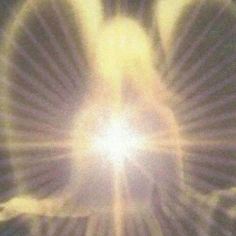 ˚₊‧꒰ა ♡ ໒꒱ ‧₊˚