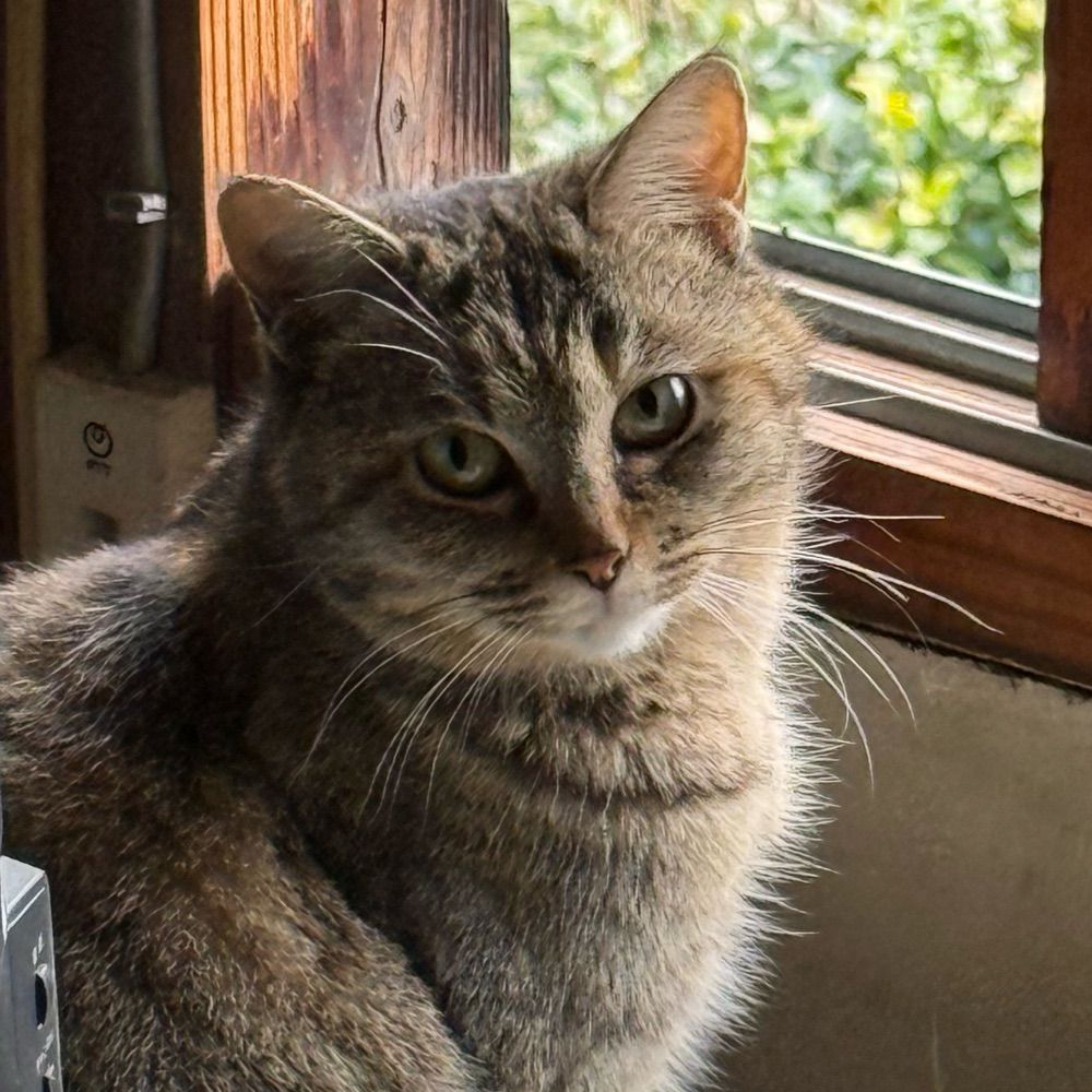^..^