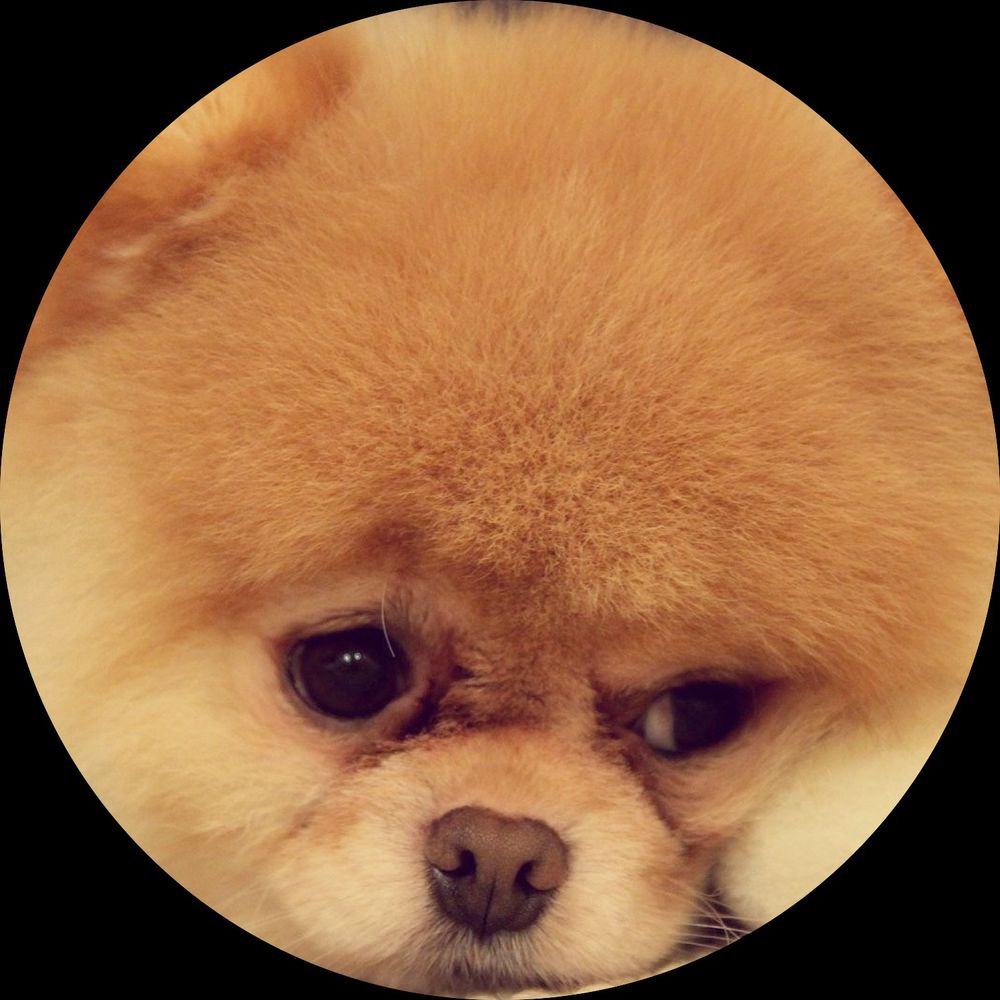 Pup