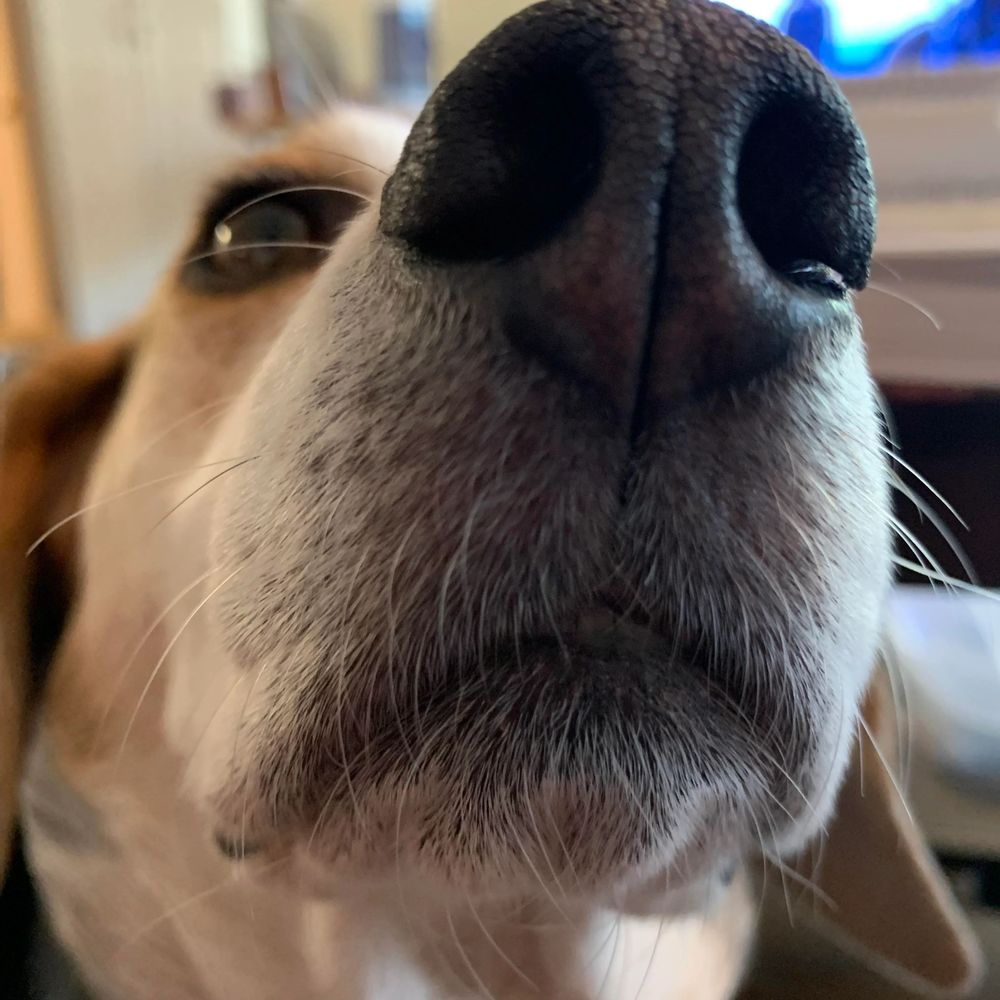 mtrousers