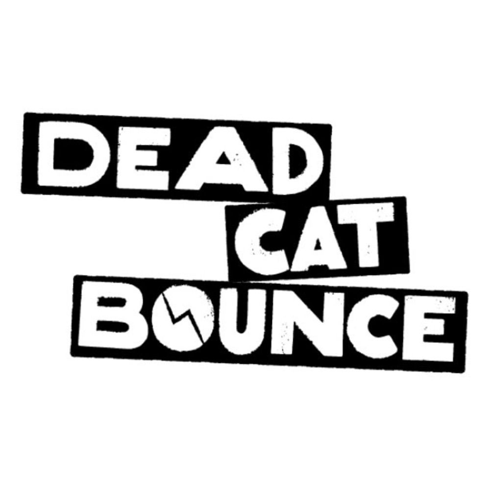 Dead Cat Bounce