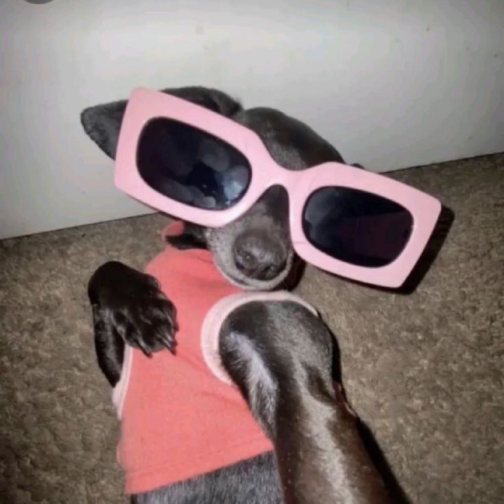 𝐿🕸️