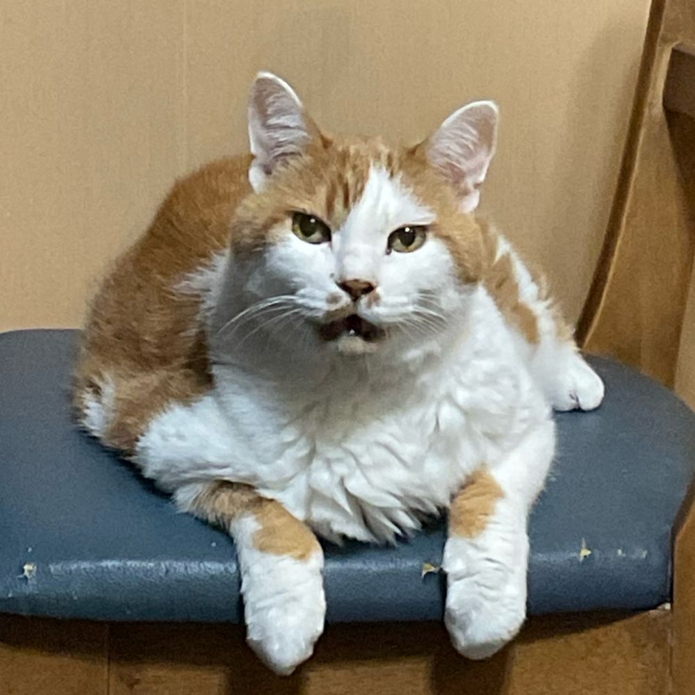 稟