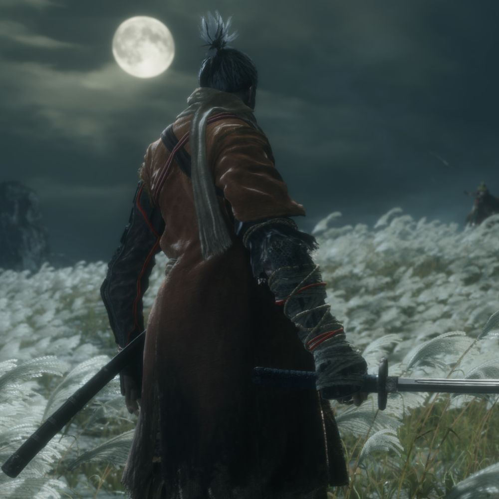 wo-0ow.bsky.social profile picture