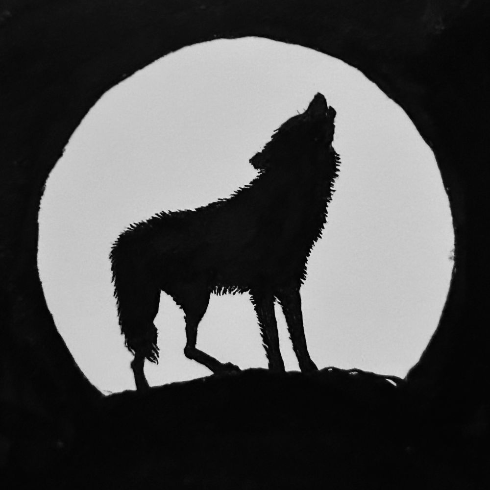 WOLF PACK HUSKY CLUB ／紫騎　秋