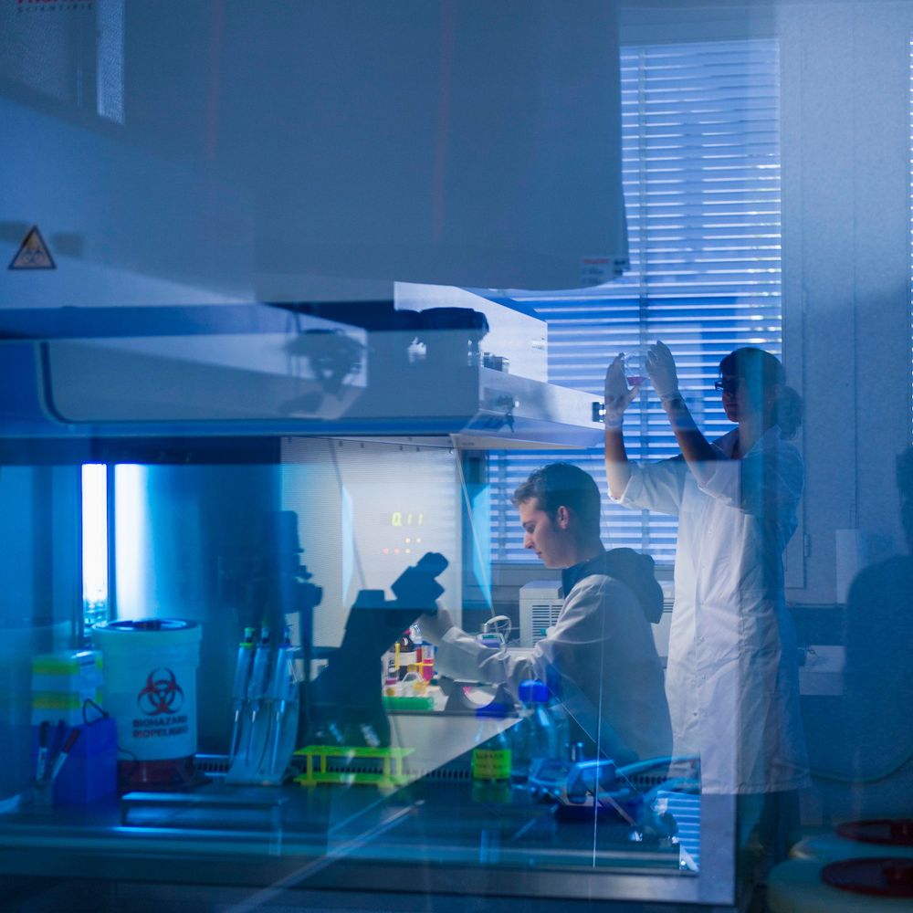 OMühlemann lab