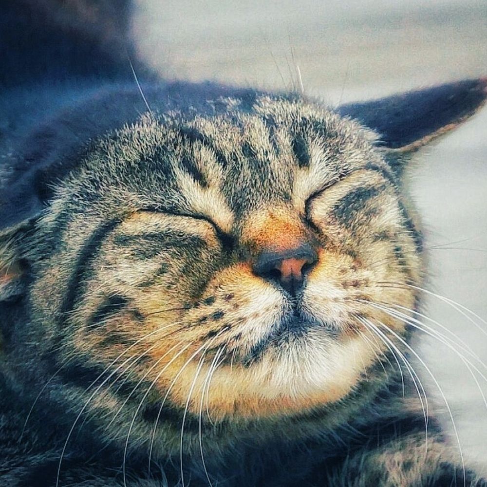 しろう