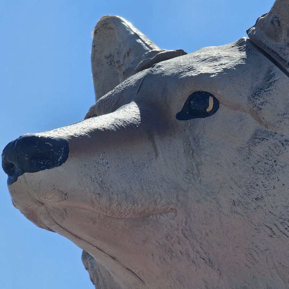 OnyxCoyote